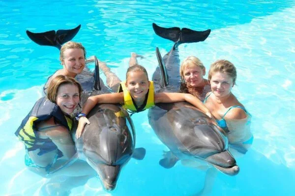 Dolphin-Show-Swimming-With-Dolphin-in-Hurghada-3-600×398