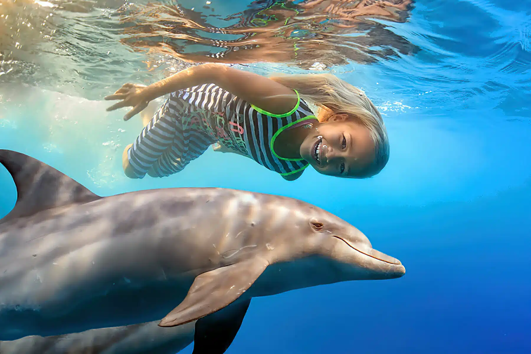 Dolphin-Snorkeling-Boat-Trip