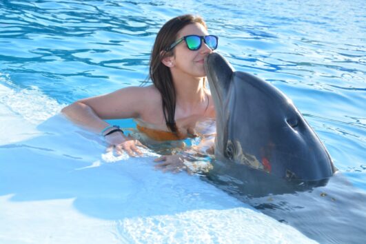 Swim-with-Dolphins-in-Pool-Photo-Session-1-531×354