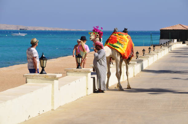 View of Bedouin man with his camel on the beach. Hurghada, Egypt.