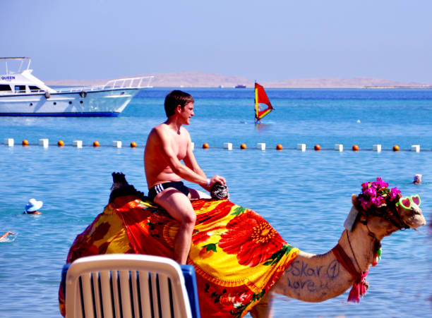 Tourist boy riding camel on beach in Hurghada, Egypt.