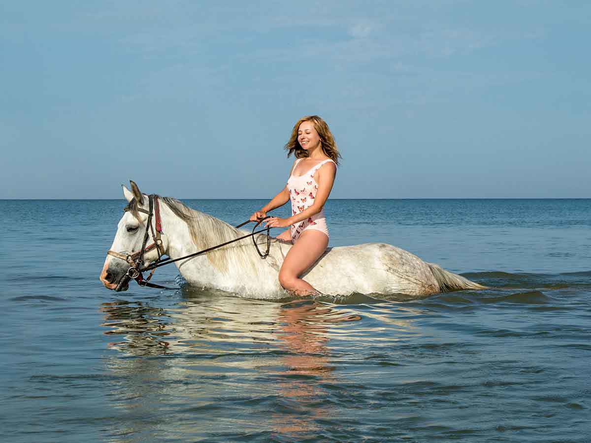 horse-swim-hurghada_lg