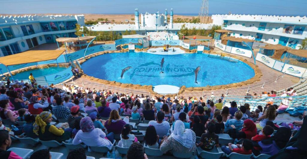 hurghada-dolphin-world-show-with-walruses-and-pickup