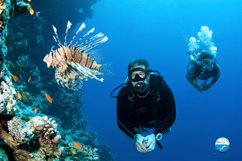 red-sea-scuba-diving