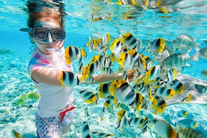 snorkeling-tour-at-paradise-island-hurghada