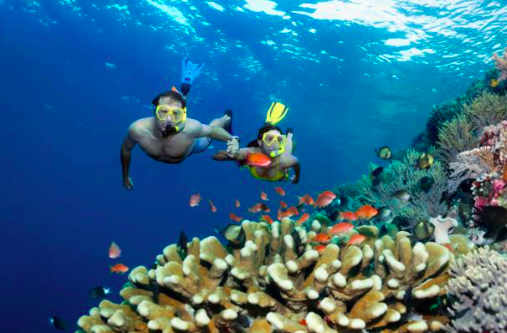 hurghada-snorkling