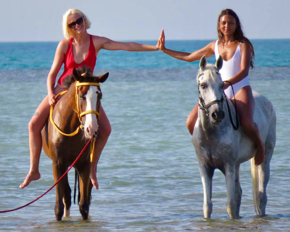 swimming-with-horses-for-advanced-riders-in-hurghada.5cdbfb2679ccd-full